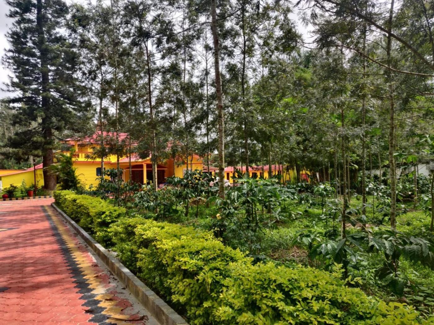 Coffeebean Villa - Unwind & Rejuvenate Саклешпур Екстер'єр фото