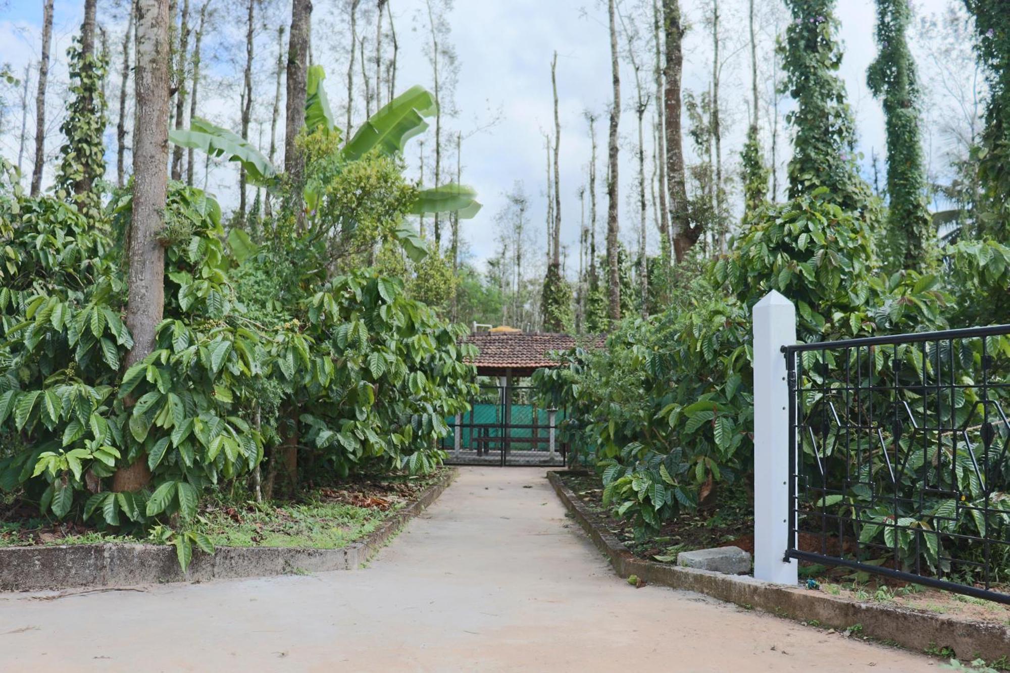 Coffeebean Villa - Unwind & Rejuvenate Саклешпур Екстер'єр фото